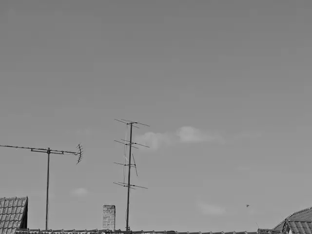 Persisting Chill Continues till Midweek