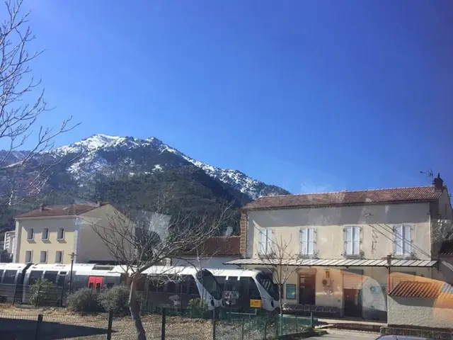 Train collision leaves one fatality in northeast Atlanta, confirmed by authorities.